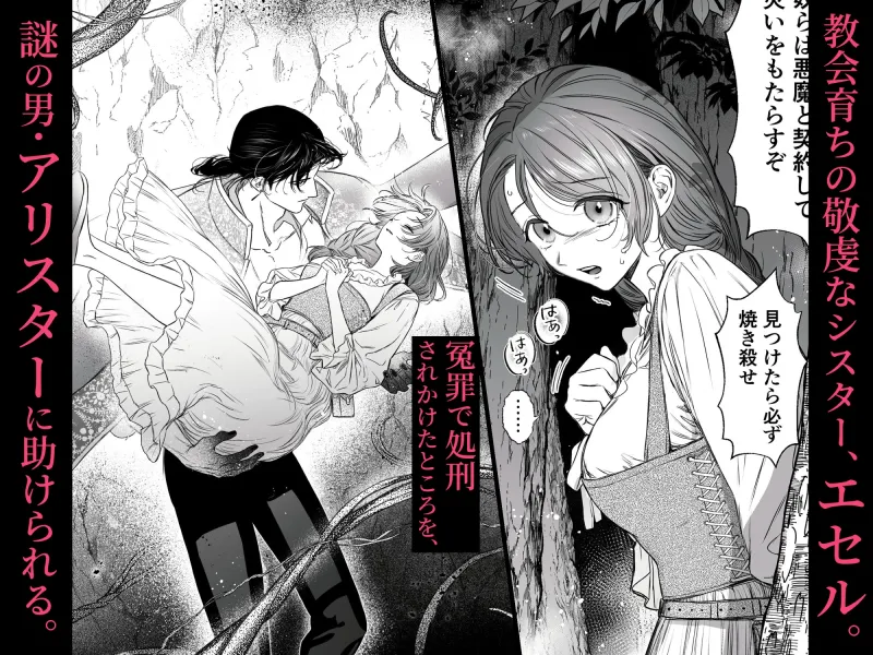 Mellis Maleficarum~うそつき悪魔の催淫調教~