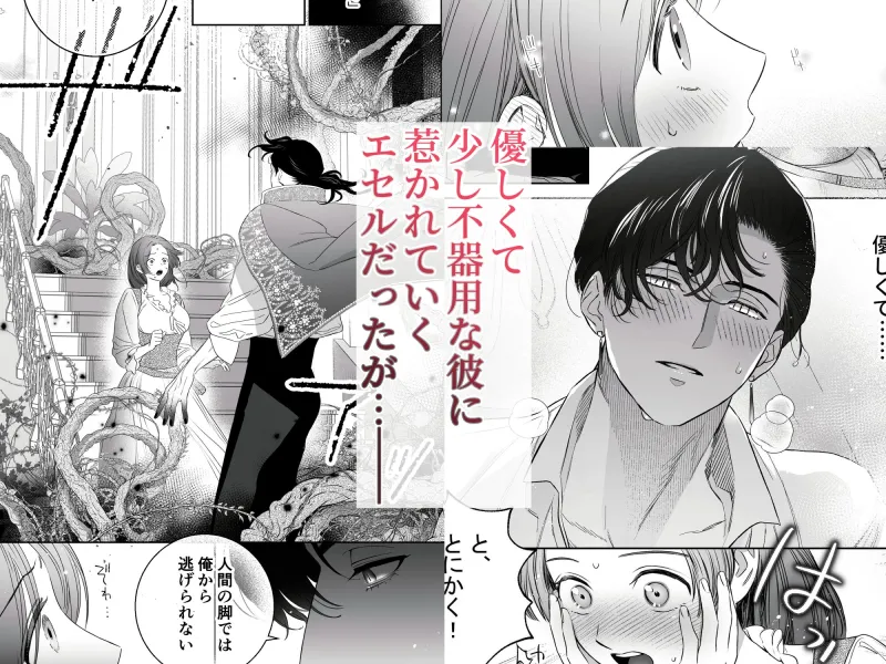 Mellis Maleficarum~うそつき悪魔の催淫調教~