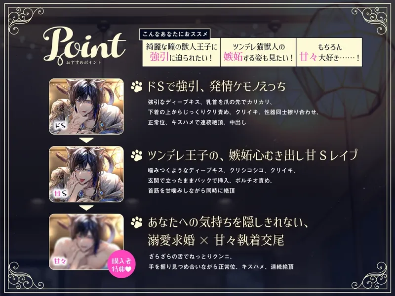 本文説明画像