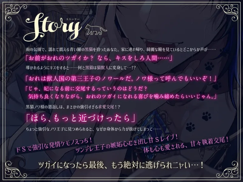 黒猫ノワ様のエッチな恩返し。～ツンデレ甘S猫王子の執着交尾から逃げられない【嫉妬レイプ×溺愛求婚】