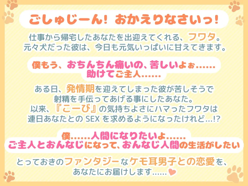 本文説明画像