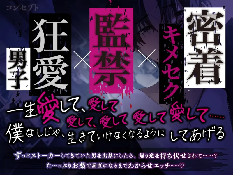 本文説明画像