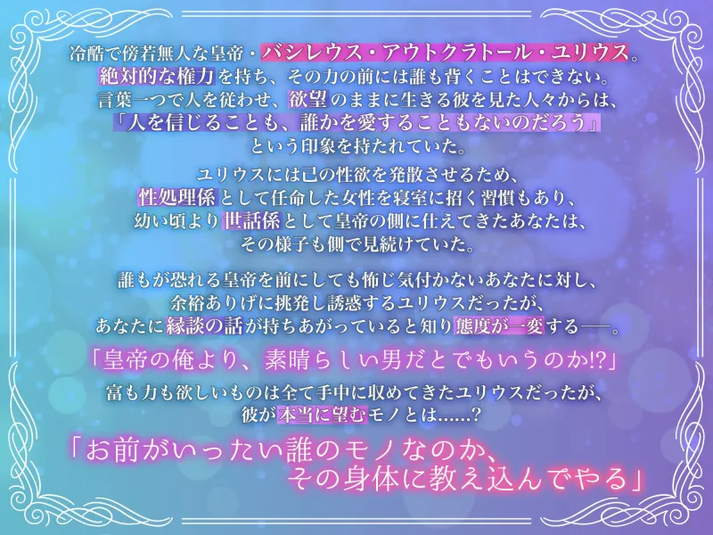 本文説明画像