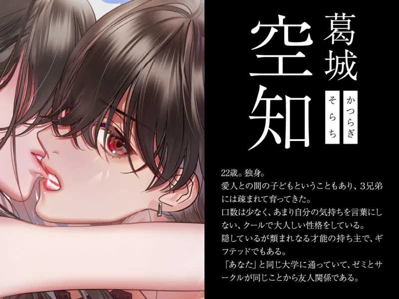 本文説明画像