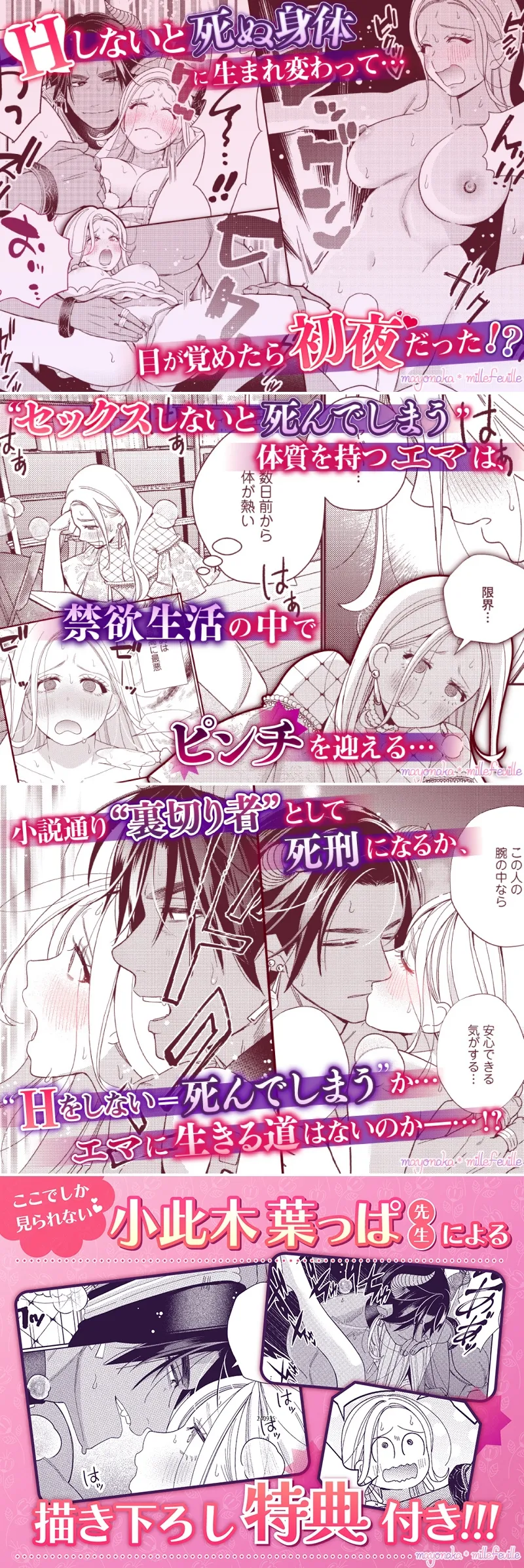 本文説明画像