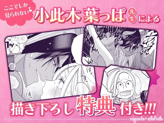 転生した悪役令嬢はHしないと死ぬ運命～敵国王と篭絡結婚～【R18版特典動画付き】