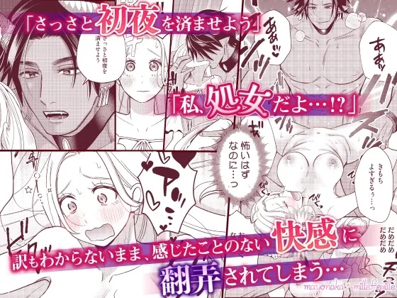転生した悪役令嬢はHしないと死ぬ運命～敵国王と篭絡結婚～【R18版特典動画付き】