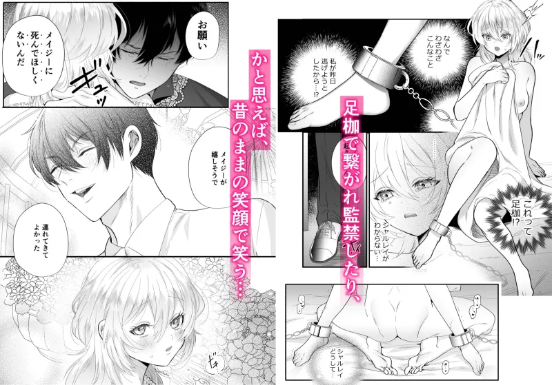 檻～略奪された花嫁～