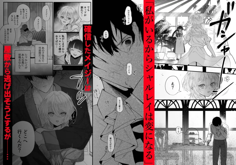 檻～略奪された花嫁～