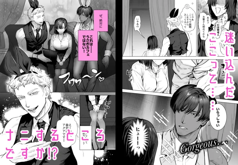 本文説明画像