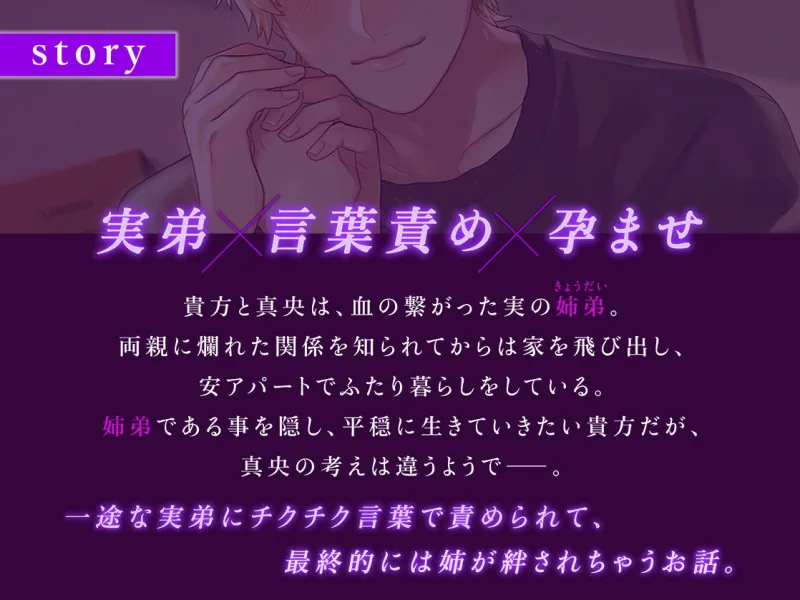 本文説明画像