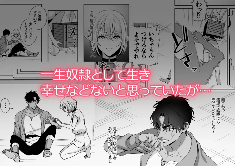 性奴隷として買われたはずなのに愛されすぎて超幸せです ～不感症エルフが快楽堕ちするまで～