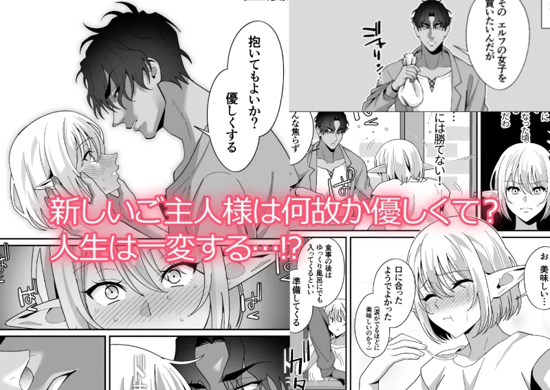 性奴隷として買われたはずなのに愛されすぎて超幸せです ～不感症エルフが快楽堕ちするまで～
