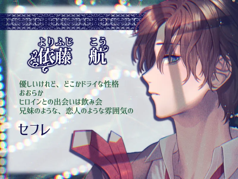 本文説明画像