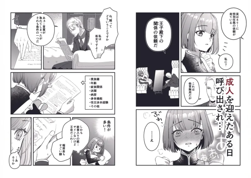 王子殿下の閨係