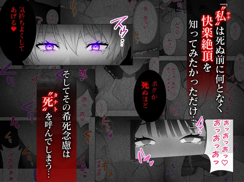 本文説明画像