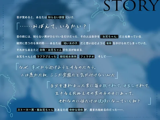 本文説明画像