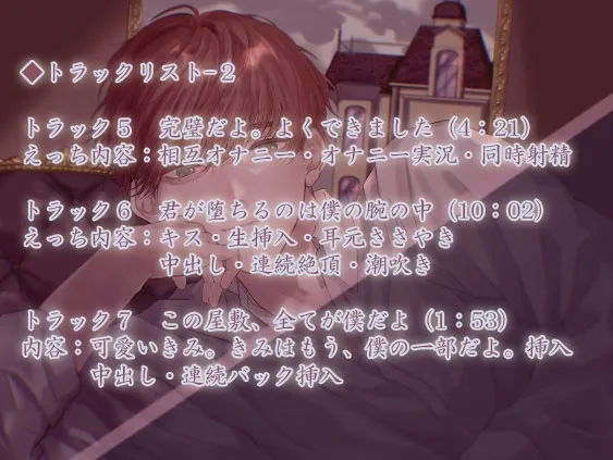 本文説明画像