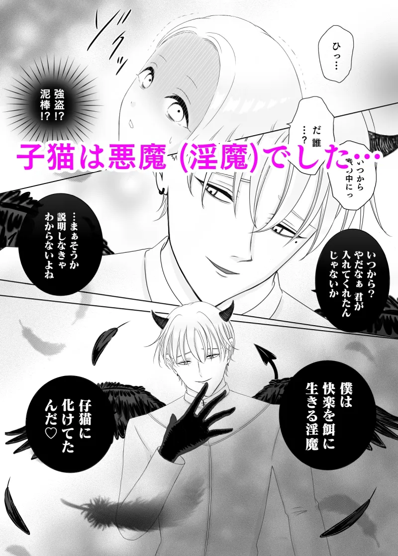 拾い猫は淫魔でした 〜善人快楽堕ち〜