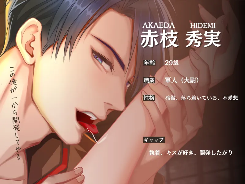 本文説明画像