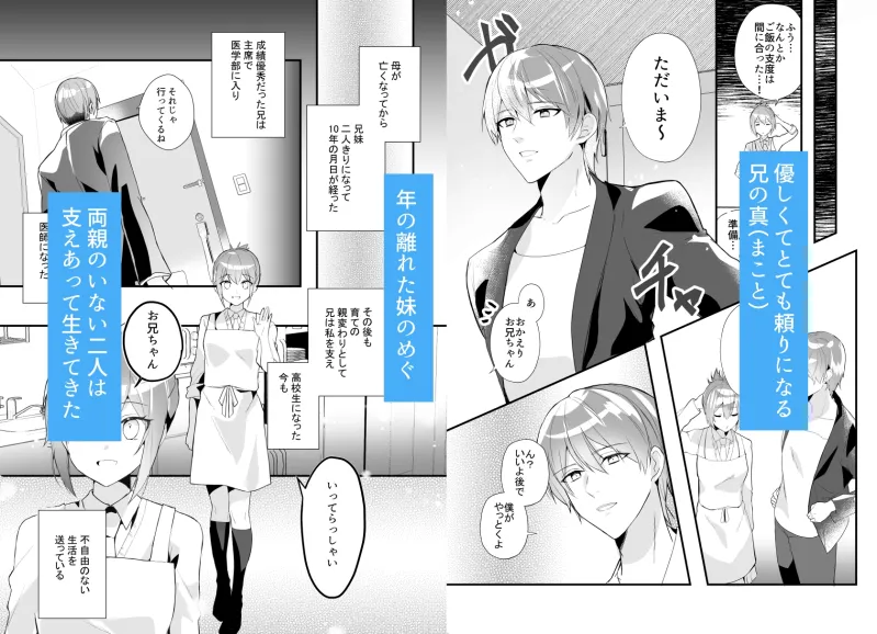 兄が気持ち悪い~誠実で好青年な兄は盗聴器で私の行動を監視していました～