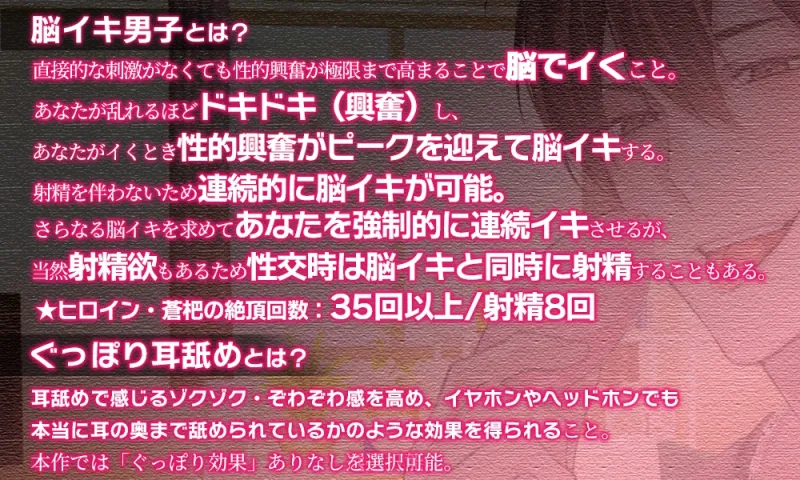 本文説明画像