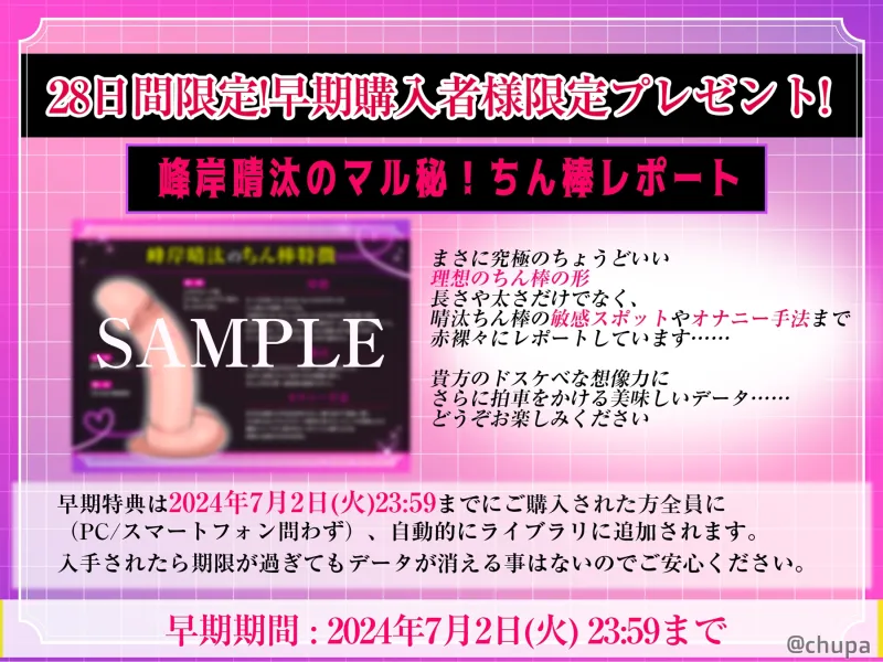 本文説明画像