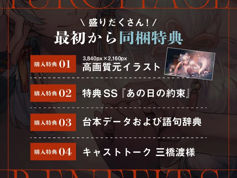 本文説明画像