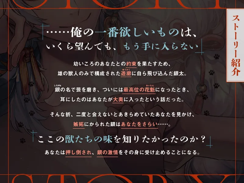 本文説明画像