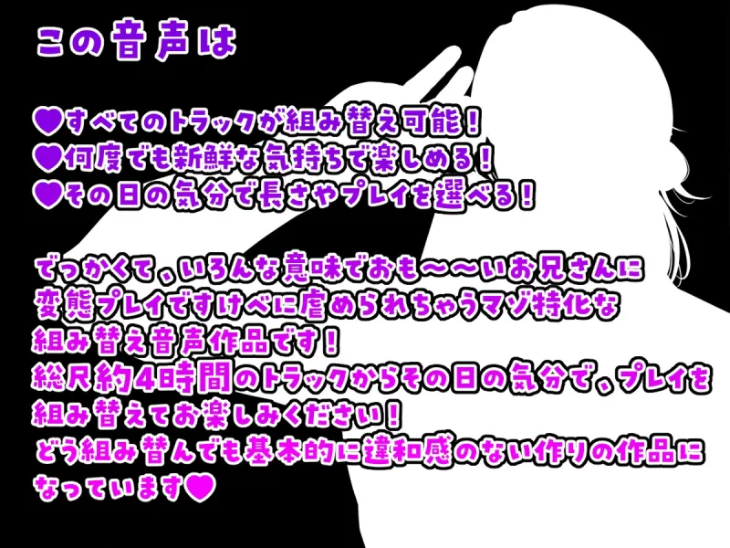 本文説明画像
