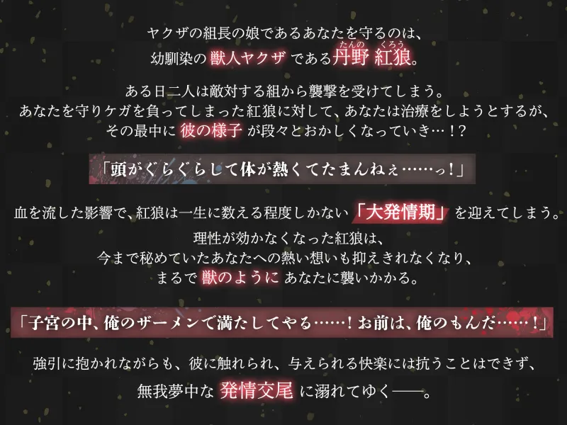 本文説明画像