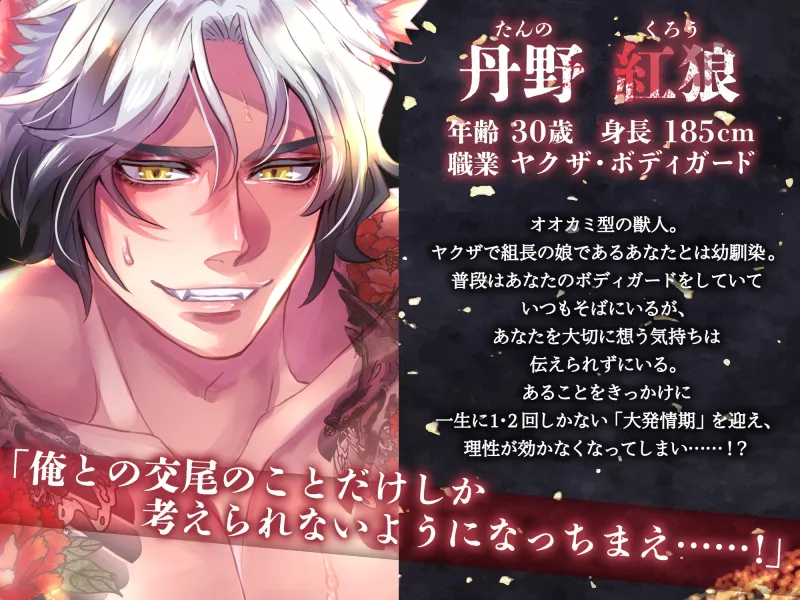 【KU100】人狼ヤクザ ～大発情期を迎えた幼馴染は激しく○す野獣に成る～