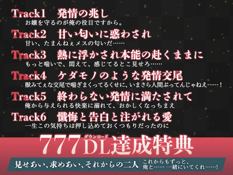 本文説明画像
