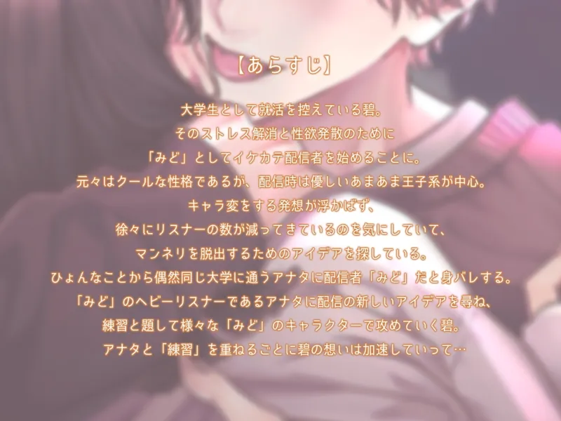 本文説明画像