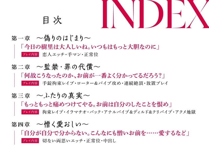 【監禁×加虐×復讐 やりきれない愛憎story】アヤトの愛した女