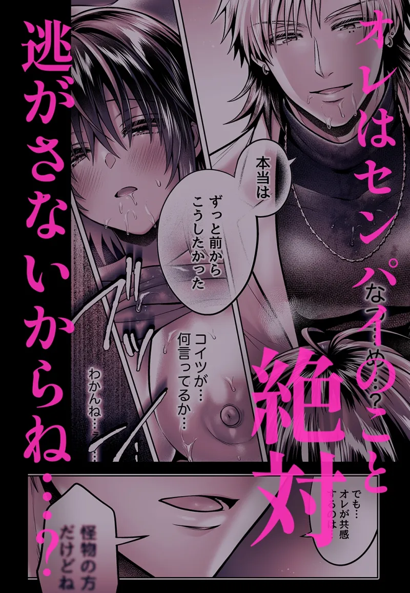 本文説明画像