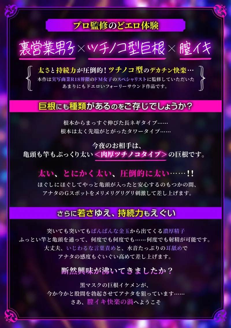 本文説明画像