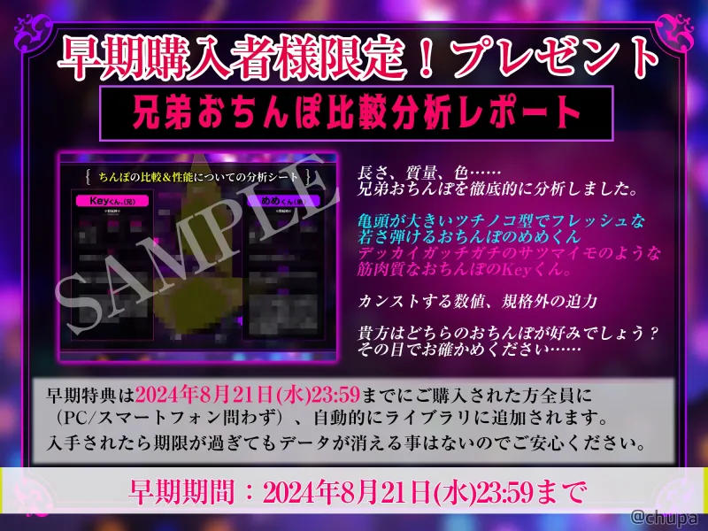 本文説明画像