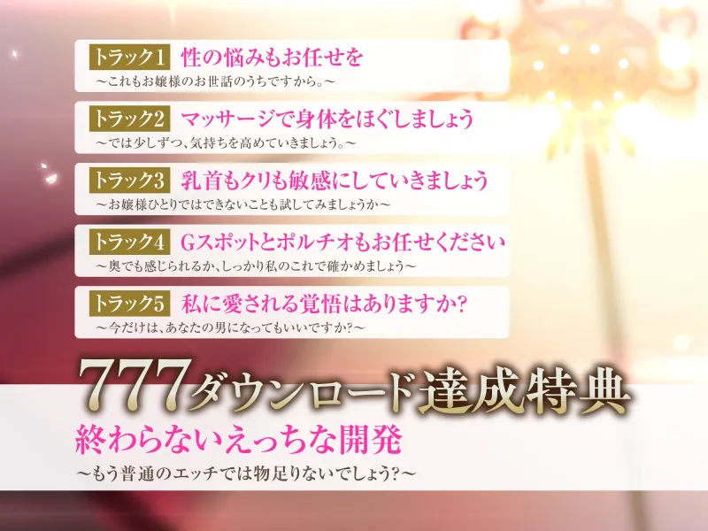本文説明画像
