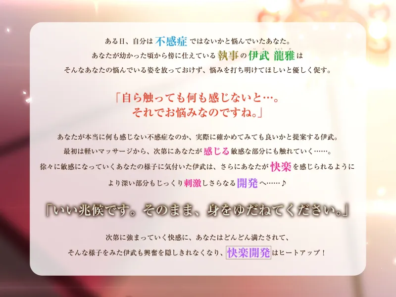 本文説明画像