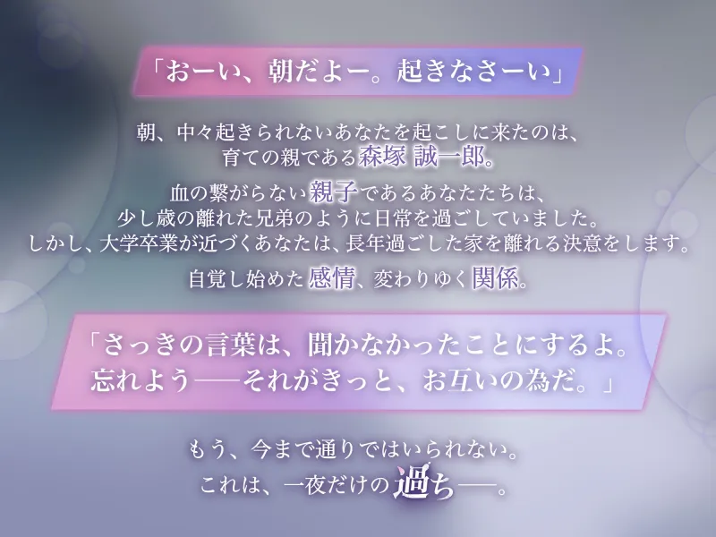 本文説明画像