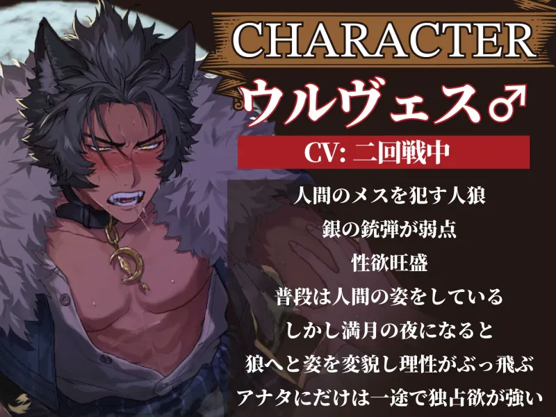 【強引SEX】♂人狼にケモノ交尾で抱き壊される話【KU100】