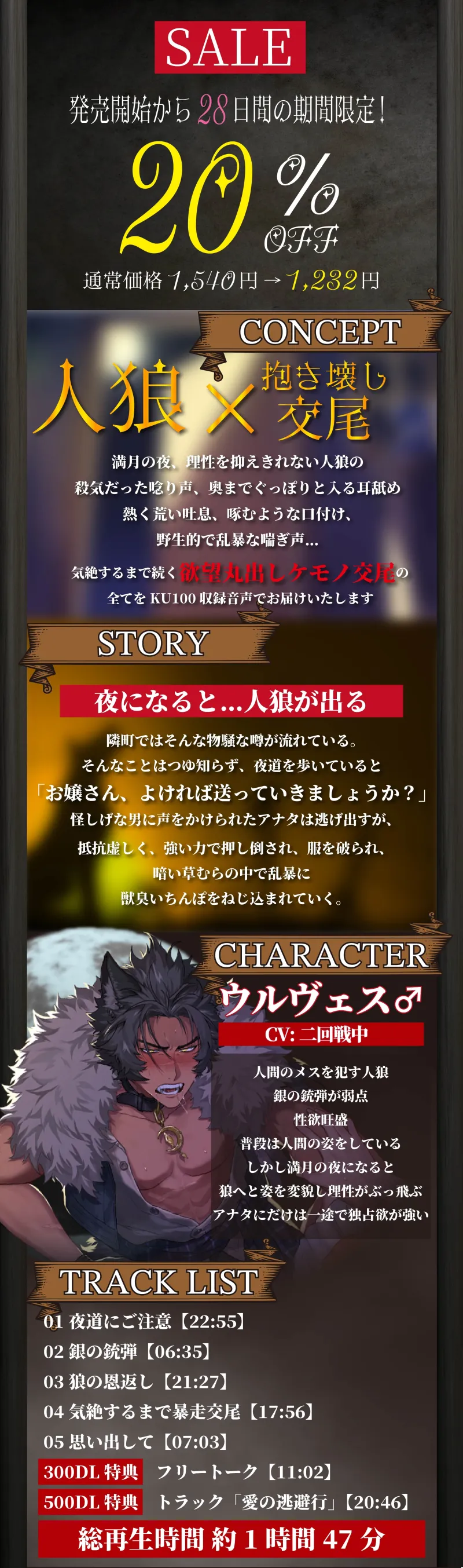 本文説明画像