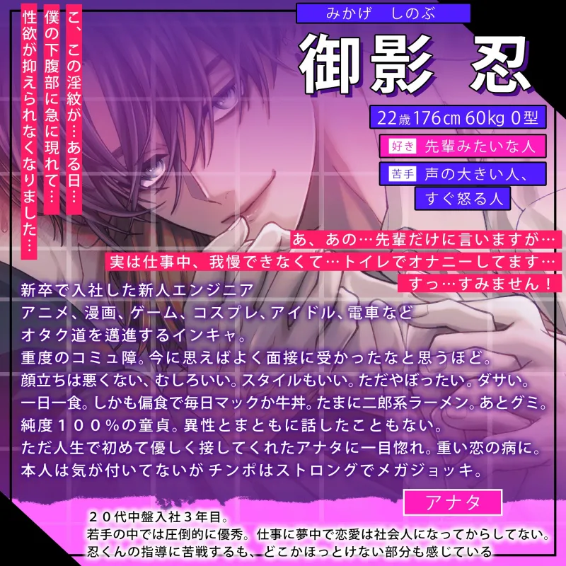 本文説明画像