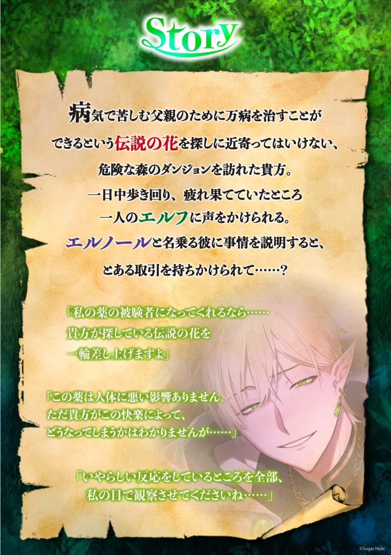 本文説明画像