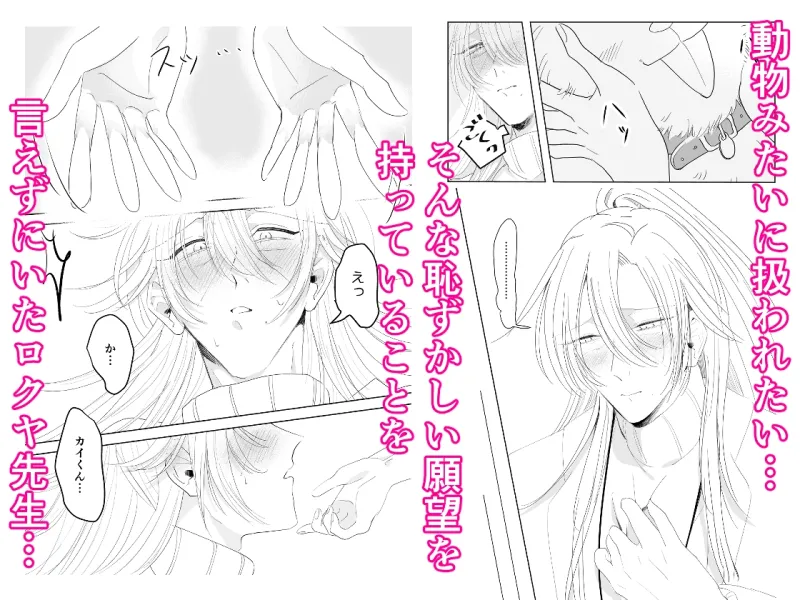 熟年獣医さんの淫らな願望