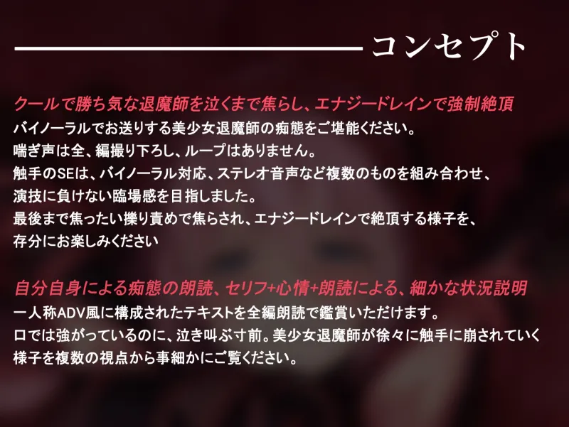 本文説明画像