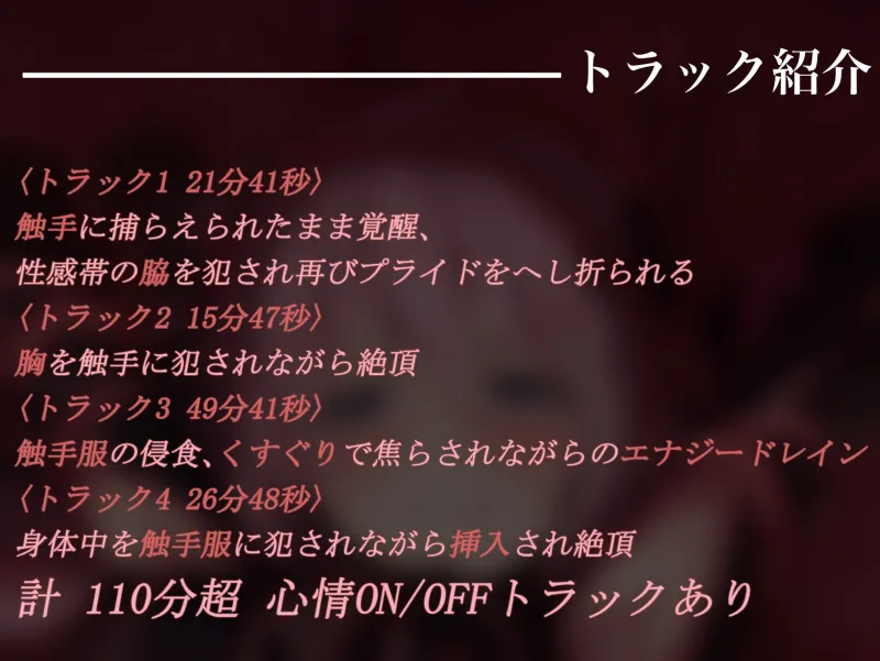 本文説明画像