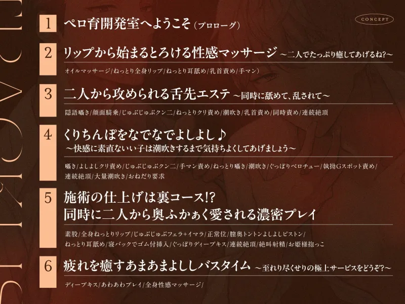 本文説明画像