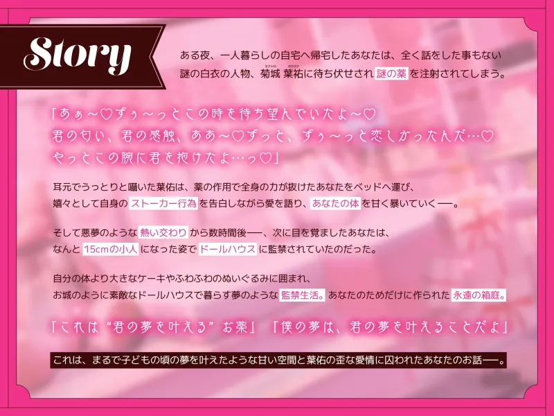 本文説明画像